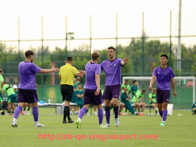 杏彩体育-法甲防守数据对比及联赛防守体系优化建议