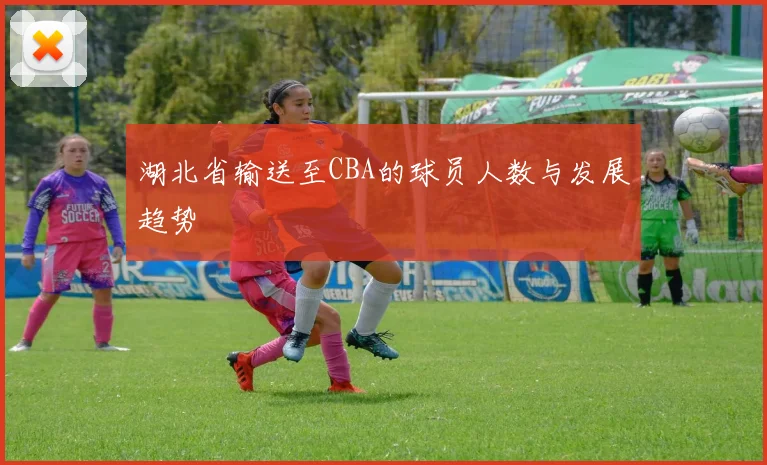 湖北省输送至CBA的球员人数与发展趋势