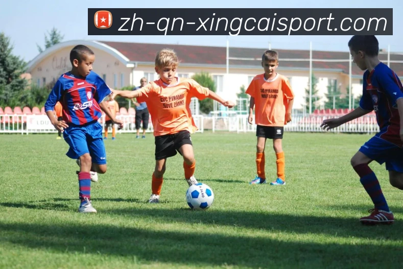 App Interface Preview