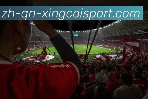 杏彩体育APP 封面图